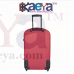 OkaeYa Safari Fabric 56 cms Maroon Soft Sided Carry-On (RAIL 2W 55 MAROON)